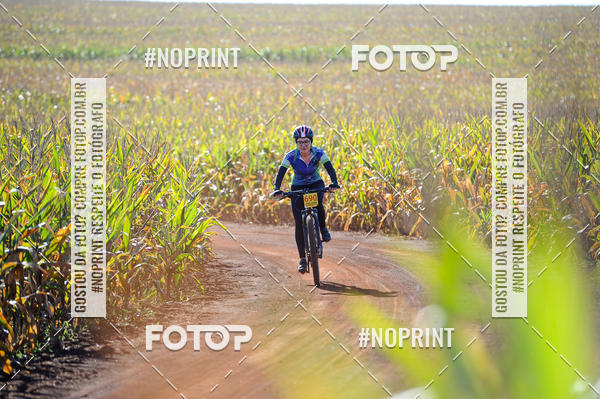 Buy your photos of the eventPAGLIARINI Marathon Bike 13 - PMB13 on Fotop