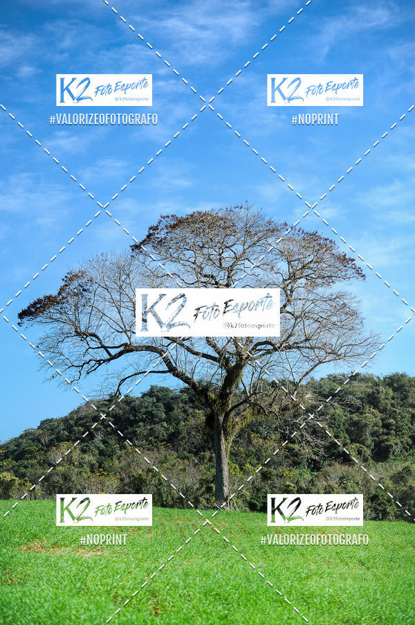 Buy your photos of the eventPAGLIARINI Marathon Bike 13 - PMB13 on Fotop