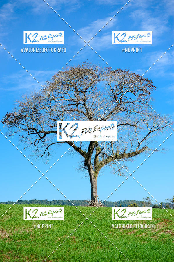 Buy your photos of the eventPAGLIARINI Marathon Bike 13 - PMB13 on Fotop