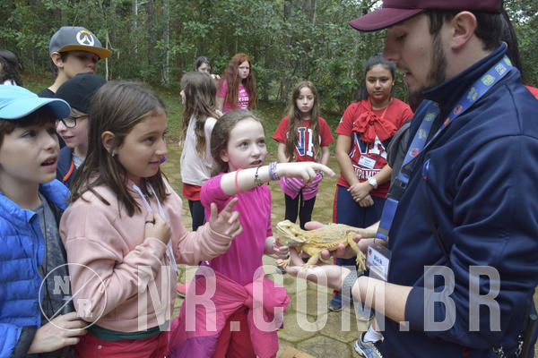 Buy your photos of the eventNR1 - Cl�ssico 16 a 19/06/19 on Fotop