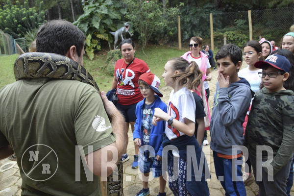 Buy your photos of the eventNR1 - Cl�ssico 16 a 19/06/19 on Fotop