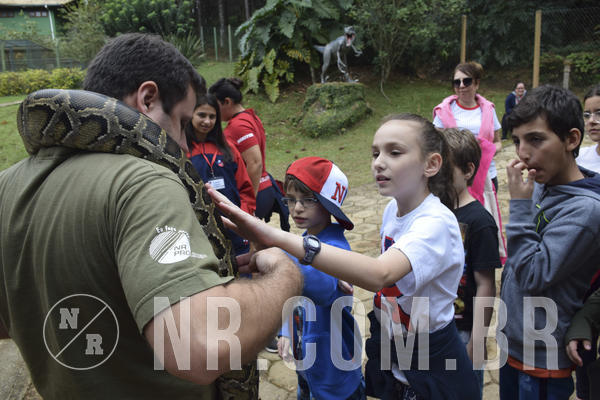 Buy your photos of the eventNR1 - Cl�ssico 16 a 19/06/19 on Fotop