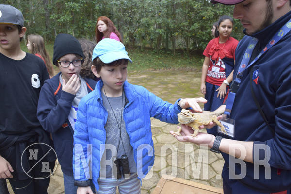 Buy your photos of the eventNR1 - Cl�ssico 16 a 19/06/19 on Fotop