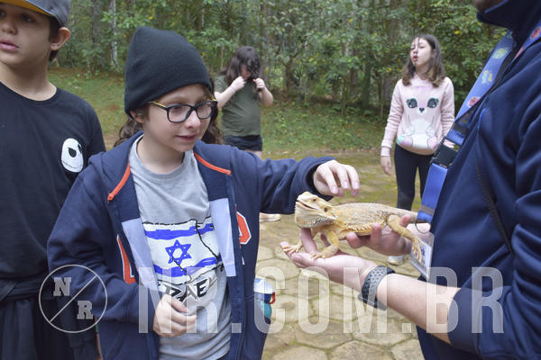 Buy your photos of the eventNR1 - Cl�ssico 16 a 19/06/19 on Fotop