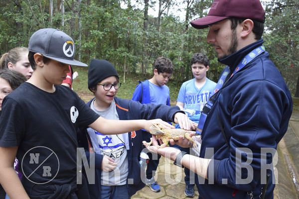 Buy your photos of the eventNR1 - Cl�ssico 16 a 19/06/19 on Fotop