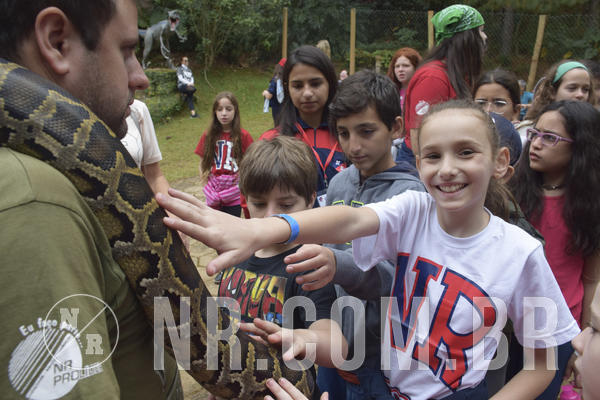 Buy your photos of the eventNR1 - Cl�ssico 16 a 19/06/19 on Fotop