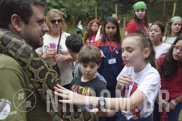 Buy your photos of the eventNR1 - Cl�ssico 16 a 19/06/19 on Fotop