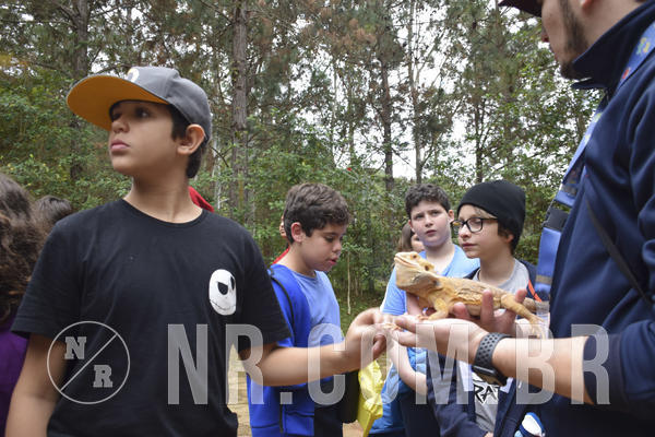 Buy your photos of the eventNR1 - Cl�ssico 16 a 19/06/19 on Fotop