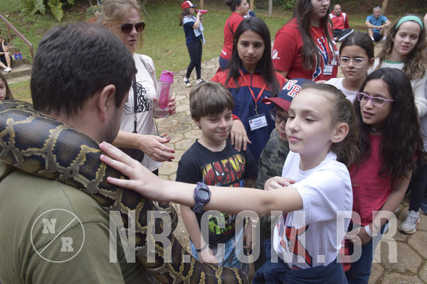 Buy your photos of the eventNR1 - Cl�ssico 16 a 19/06/19 on Fotop