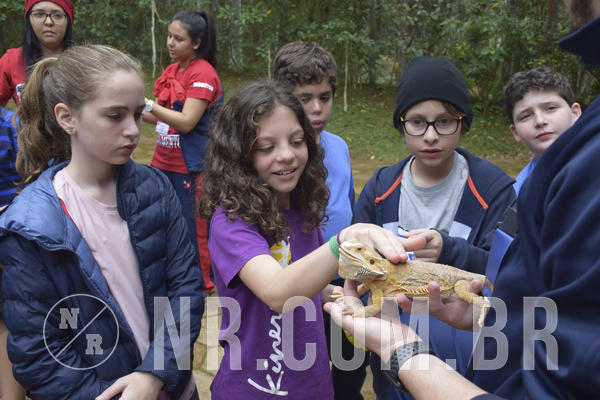 Buy your photos of the eventNR1 - Cl�ssico 16 a 19/06/19 on Fotop