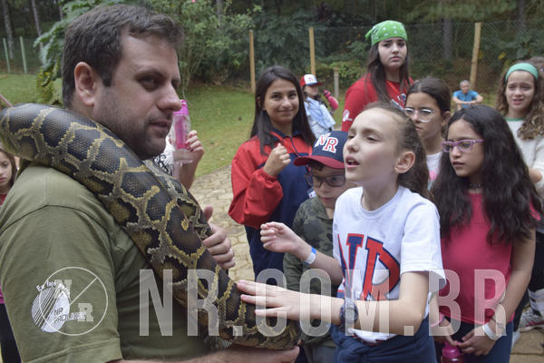 Buy your photos of the eventNR1 - Cl�ssico 16 a 19/06/19 on Fotop