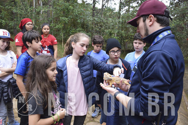 Buy your photos of the eventNR1 - Cl�ssico 16 a 19/06/19 on Fotop