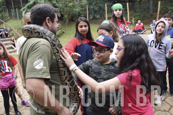 Buy your photos of the eventNR1 - Cl�ssico 16 a 19/06/19 on Fotop