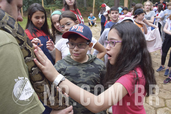 Buy your photos of the eventNR1 - Cl�ssico 16 a 19/06/19 on Fotop