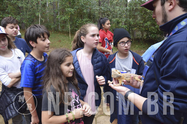 Buy your photos of the eventNR1 - Cl�ssico 16 a 19/06/19 on Fotop