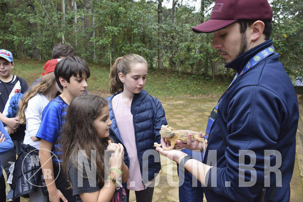 Buy your photos of the eventNR1 - Cl�ssico 16 a 19/06/19 on Fotop