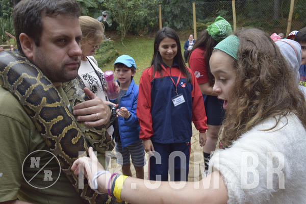 Buy your photos of the eventNR1 - Cl�ssico 16 a 19/06/19 on Fotop