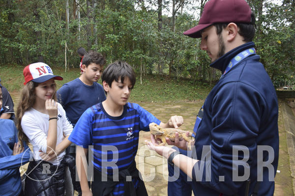 Buy your photos of the eventNR1 - Cl�ssico 16 a 19/06/19 on Fotop