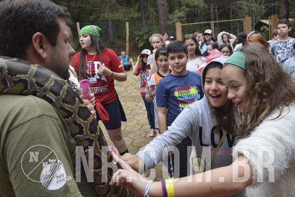 Buy your photos of the eventNR1 - Cl�ssico 16 a 19/06/19 on Fotop