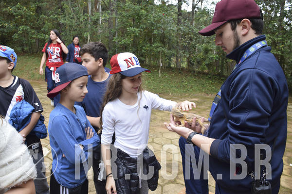 Buy your photos of the eventNR1 - Cl�ssico 16 a 19/06/19 on Fotop