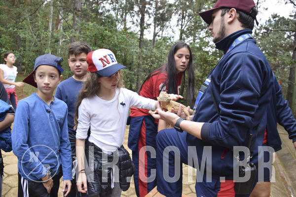 Buy your photos of the eventNR1 - Cl�ssico 16 a 19/06/19 on Fotop