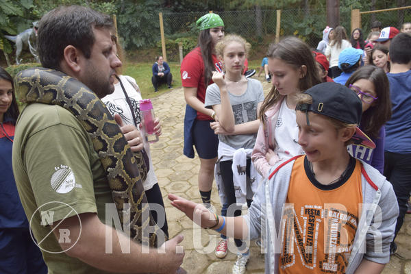 Buy your photos of the eventNR1 - Cl�ssico 16 a 19/06/19 on Fotop