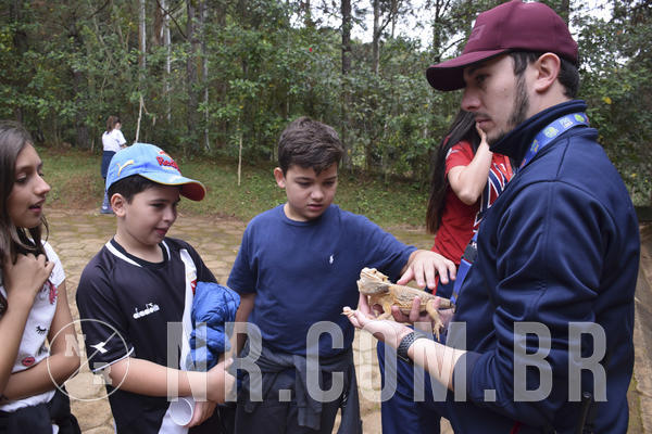 Buy your photos of the eventNR1 - Cl�ssico 16 a 19/06/19 on Fotop