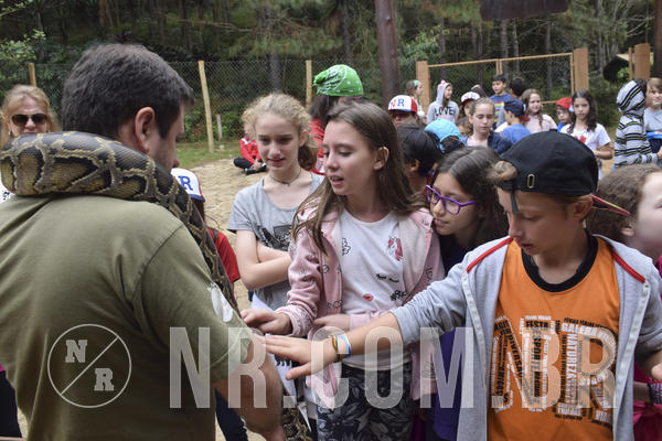 Buy your photos of the eventNR1 - Cl�ssico 16 a 19/06/19 on Fotop