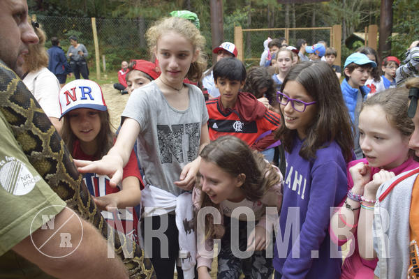 Buy your photos of the eventNR1 - Cl�ssico 16 a 19/06/19 on Fotop