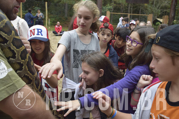 Buy your photos of the eventNR1 - Cl�ssico 16 a 19/06/19 on Fotop