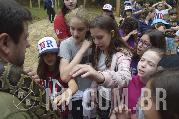 Buy your photos of the eventNR1 - Cl�ssico 16 a 19/06/19 on Fotop