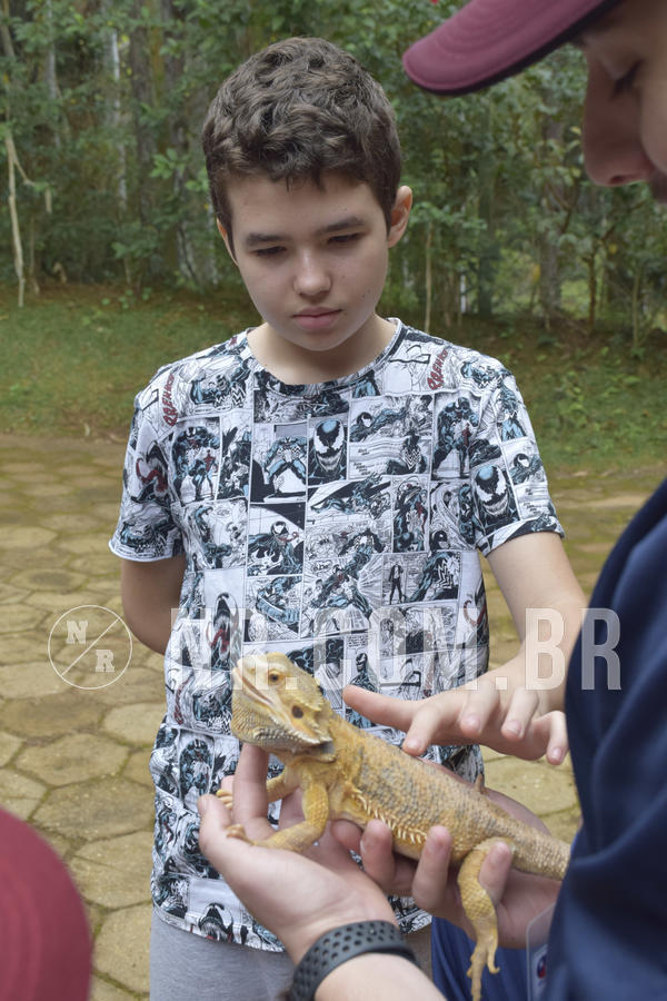 Buy your photos of the eventNR1 - Cl�ssico 16 a 19/06/19 on Fotop