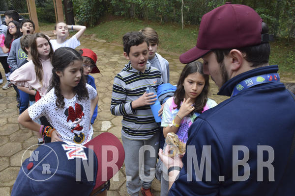 Buy your photos of the eventNR1 - Cl�ssico 16 a 19/06/19 on Fotop