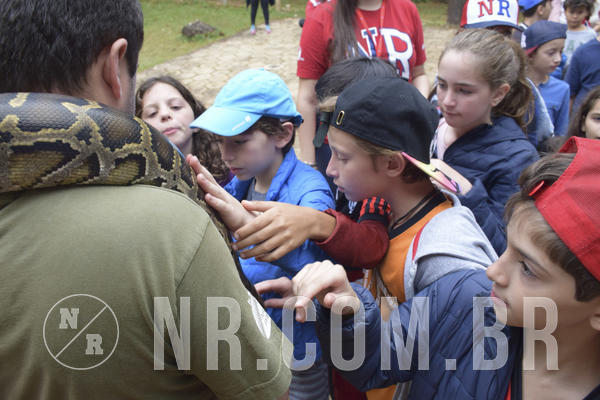 Buy your photos of the eventNR1 - Cl�ssico 16 a 19/06/19 on Fotop