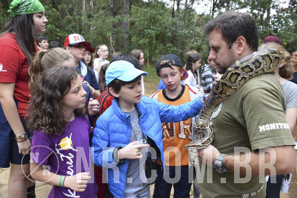 Buy your photos of the eventNR1 - Cl�ssico 16 a 19/06/19 on Fotop