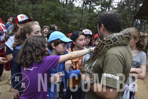 Buy your photos of the eventNR1 - Cl�ssico 16 a 19/06/19 on Fotop