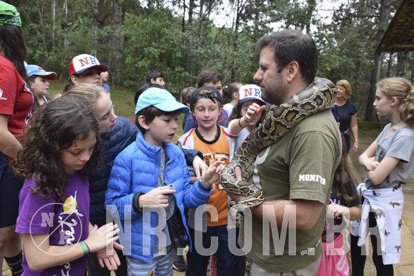 Buy your photos of the eventNR1 - Cl�ssico 16 a 19/06/19 on Fotop