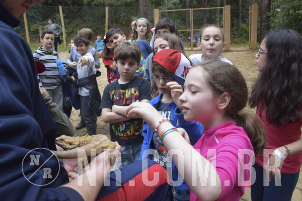 Buy your photos of the eventNR1 - Cl�ssico 16 a 19/06/19 on Fotop