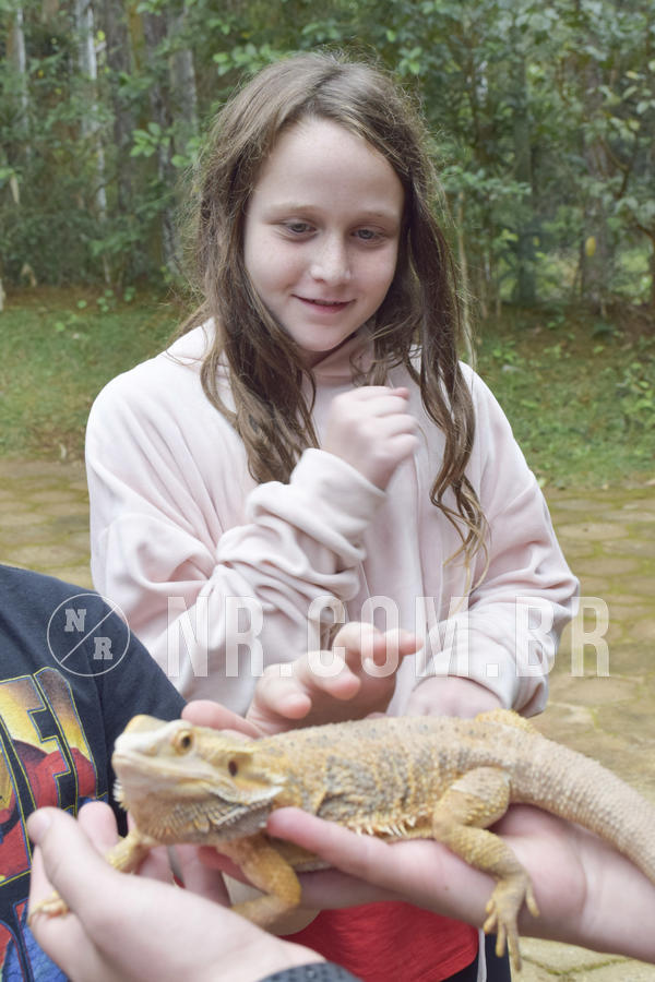 Buy your photos of the eventNR1 - Cl�ssico 16 a 19/06/19 on Fotop