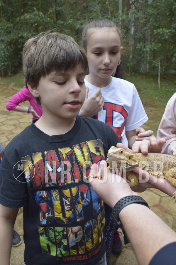 Buy your photos of the eventNR1 - Cl�ssico 16 a 19/06/19 on Fotop