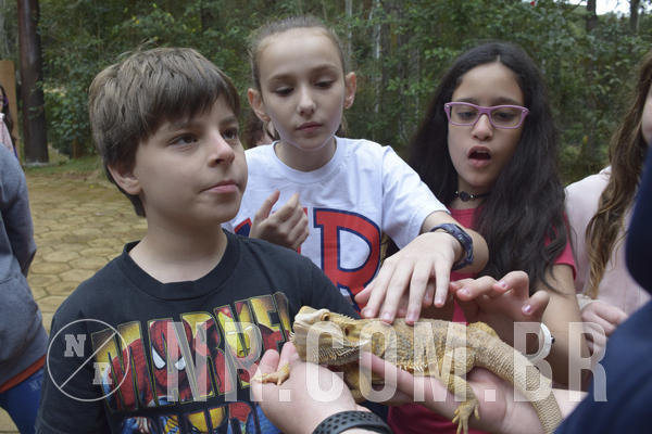 Buy your photos of the eventNR1 - Cl�ssico 16 a 19/06/19 on Fotop