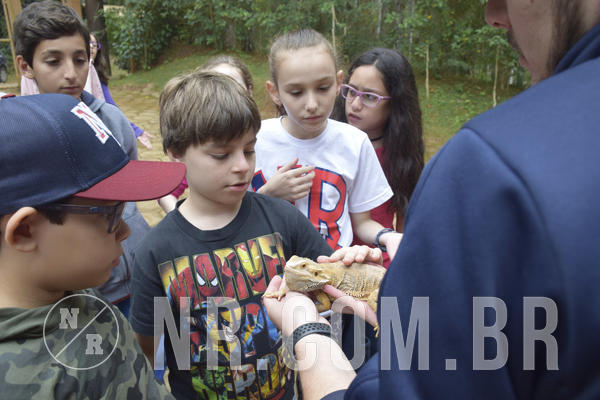 Buy your photos of the eventNR1 - Cl�ssico 16 a 19/06/19 on Fotop