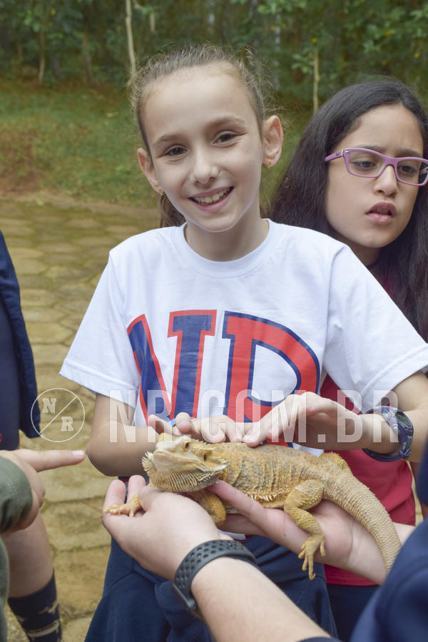 Buy your photos of the eventNR1 - Cl�ssico 16 a 19/06/19 on Fotop