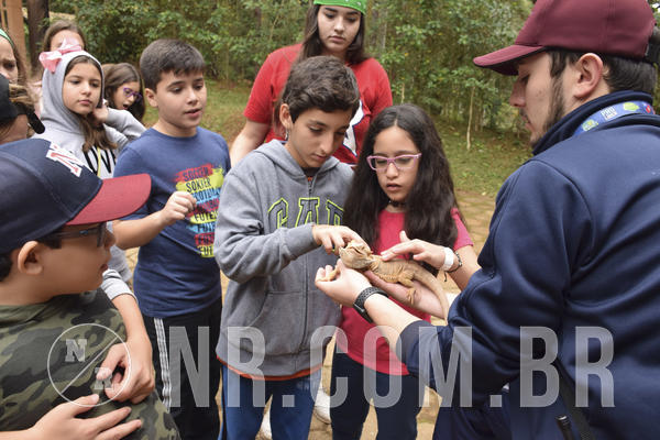 Buy your photos of the eventNR1 - Cl�ssico 16 a 19/06/19 on Fotop