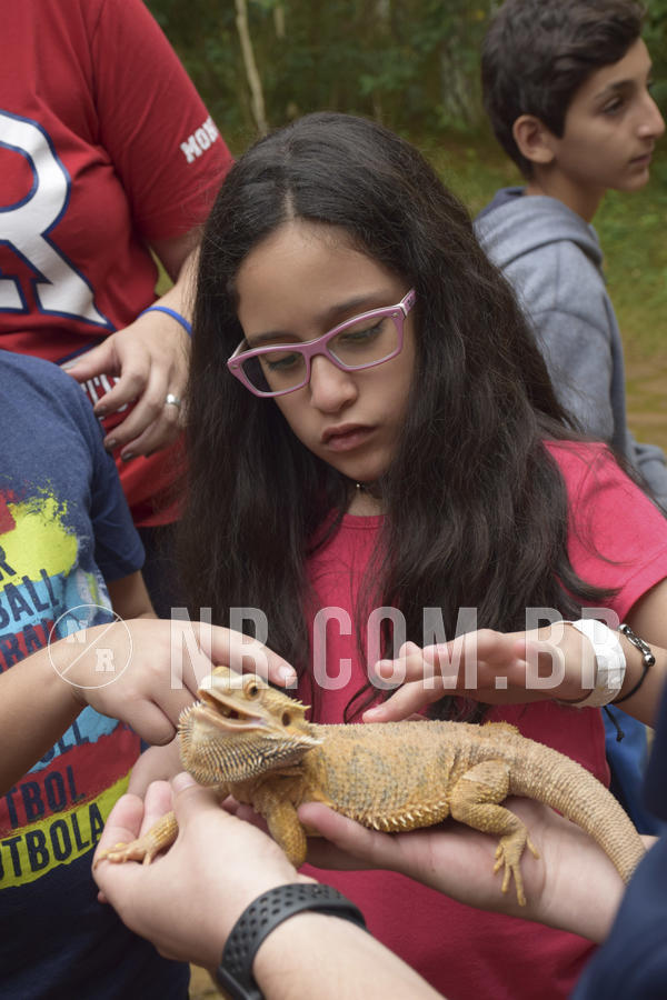 Buy your photos of the eventNR1 - Cl�ssico 16 a 19/06/19 on Fotop