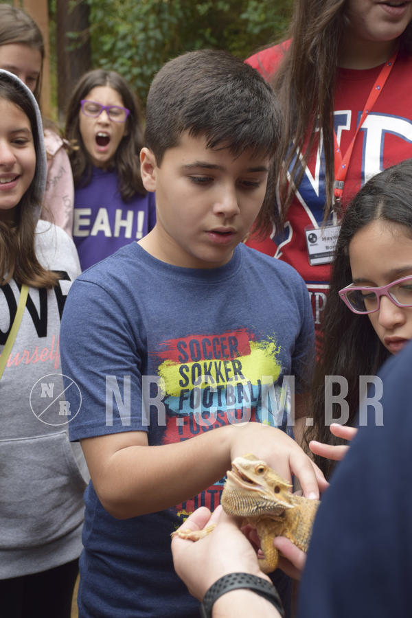 Buy your photos of the eventNR1 - Cl�ssico 16 a 19/06/19 on Fotop