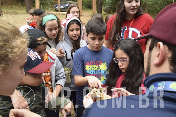 Buy your photos of the eventNR1 - Cl�ssico 16 a 19/06/19 on Fotop