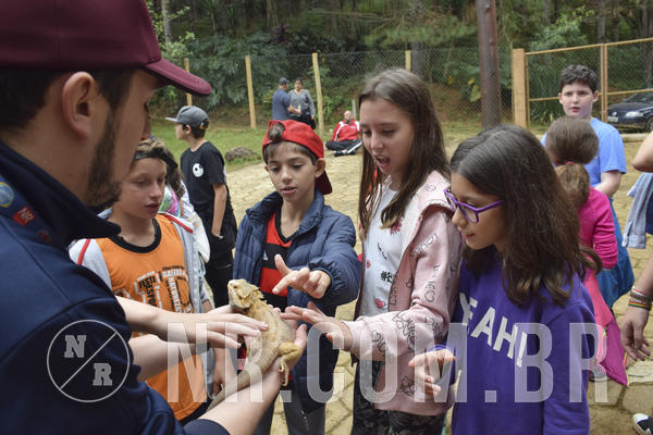 Buy your photos of the eventNR1 - Cl�ssico 16 a 19/06/19 on Fotop