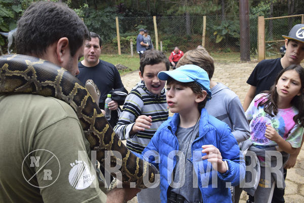 Buy your photos of the eventNR1 - Cl�ssico 16 a 19/06/19 on Fotop