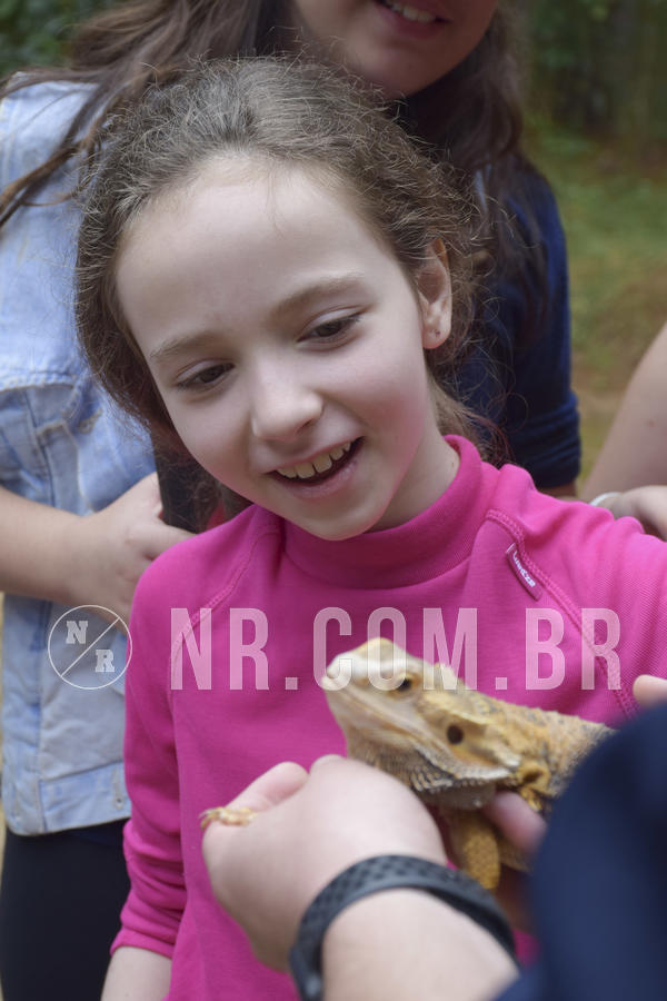 Buy your photos of the eventNR1 - Cl�ssico 16 a 19/06/19 on Fotop